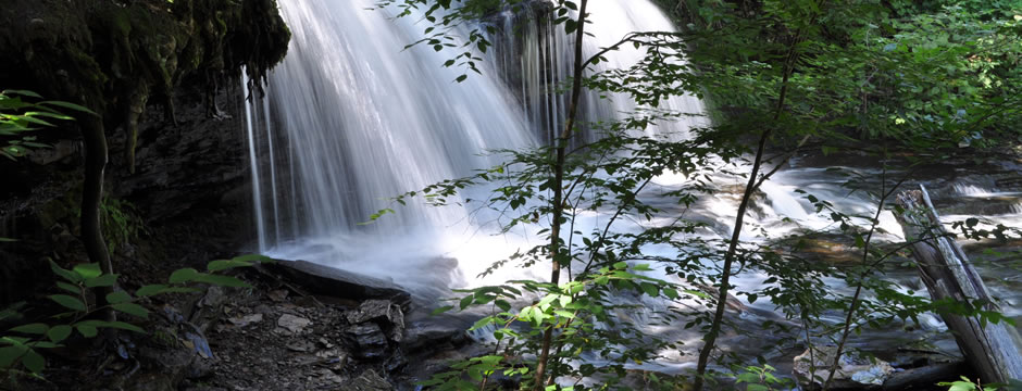 ddos在线压力测试平台